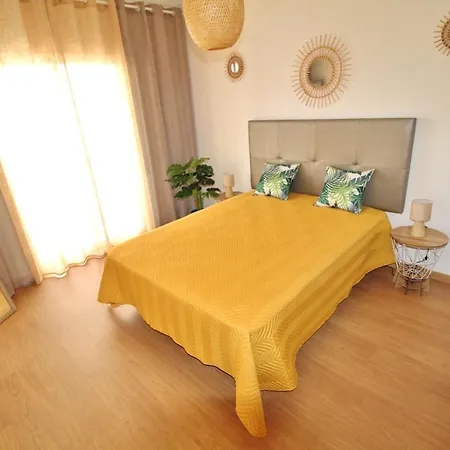 Daire Solpraia - Animul *